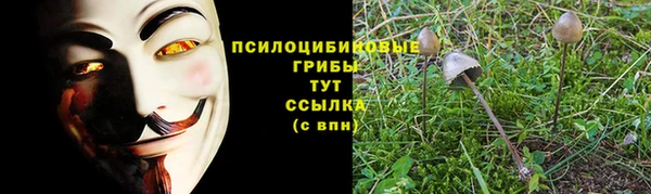 гашиш Осинники